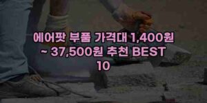 우니재의 알리알리 알리숑 - 34393 - 2024년 11월 23일 13