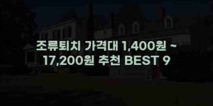 우니재의 알리알리 알리숑 - 28542 - 2024년 11월 27일 1