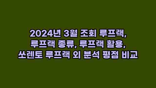 2024년 3월 조회 루프랙, 루프랙 종류, 루프랙 활용, 쏘렌토 루프랙 외 분석 평점 비교