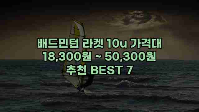 배드민턴 라켓 10u 가격대 18,300원 ~ 50,300원 추천 BEST 7