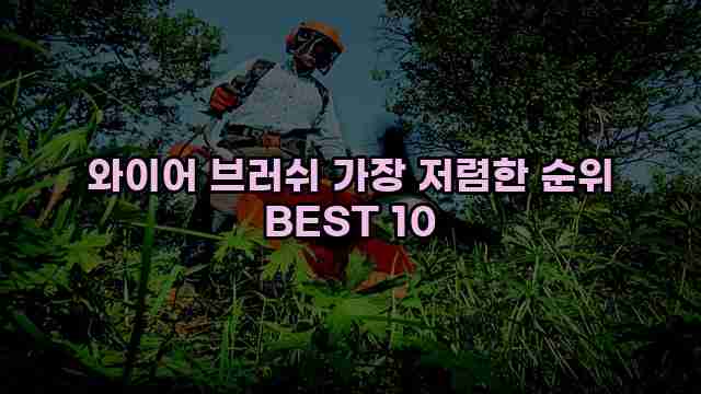 와이어 브러쉬 가장 저렴한 순위 BEST 10