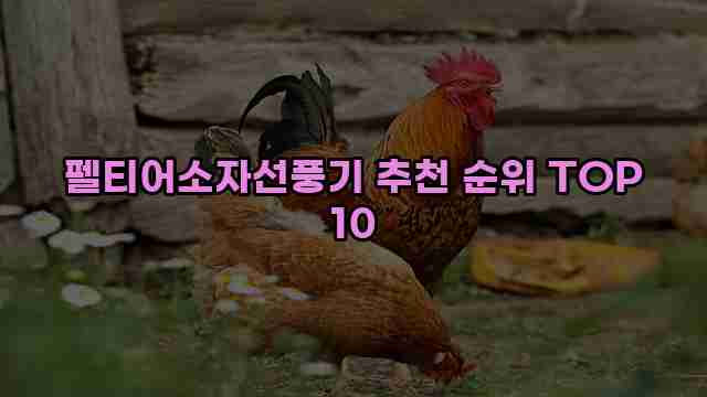 펠티어소자선풍기 추천 순위 TOP 10