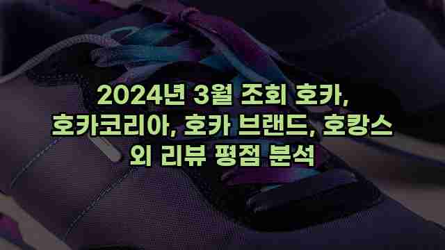 2024년 3월 조회 호카, 호카코리아, 호카 브랜드, 호캉스 외 리뷰 평점 분석