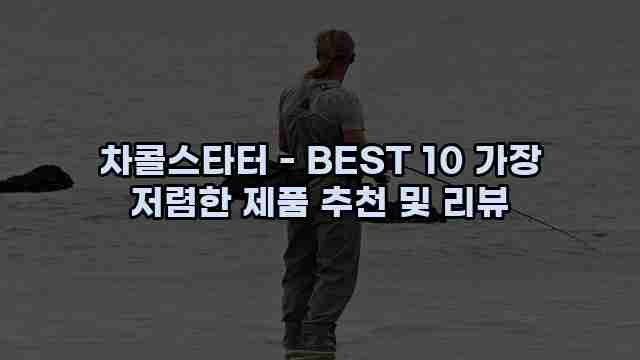 차콜스타터 - BEST 10 가장 저렴한 제품 추천 및 리뷰