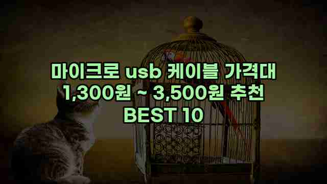 마이크로 usb 케이블 가격대 1,300원 ~ 3,500원 추천 BEST 10