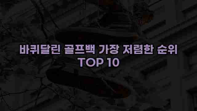 바퀴달린 골프백 가장 저렴한 순위 TOP 10