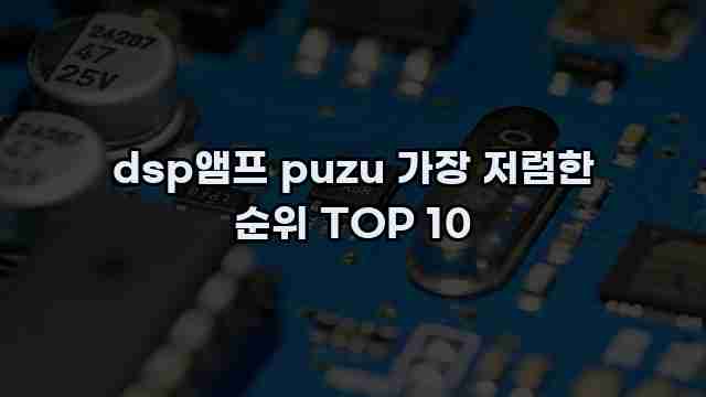 dsp앰프 puzu 가장 저렴한 순위 TOP 10