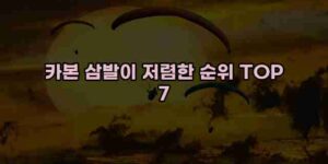 우니재의 알리알리 알리숑 - 12628 - 2024년 11월 23일 16