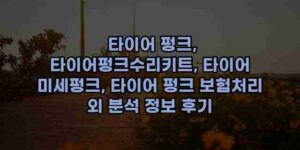 우니재의 알리알리 알리숑 - 2293 - 2024년 10월 08일 1