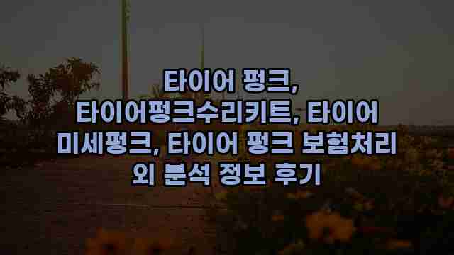  타이어 펑크, 타이어펑크수리키트, 타이어 미세펑크, 타이어 펑크 보험처리 외 분석 정보 후기