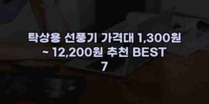 우니재의 알리알리 알리숑 - 2308 - 2024년 11월 23일 1