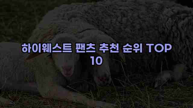 하이웨스트 팬츠 추천 순위 TOP 10