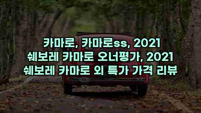  카마로, 카마로ss, 2021 쉐보레 카마로 오너평가, 2021 쉐보레 카마로 외 특가 가격 리뷰