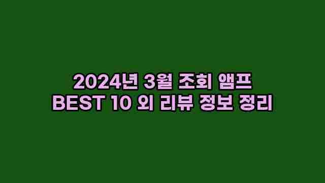 2024년 3월 조회 앰프 BEST 10 외 리뷰 정보 정리