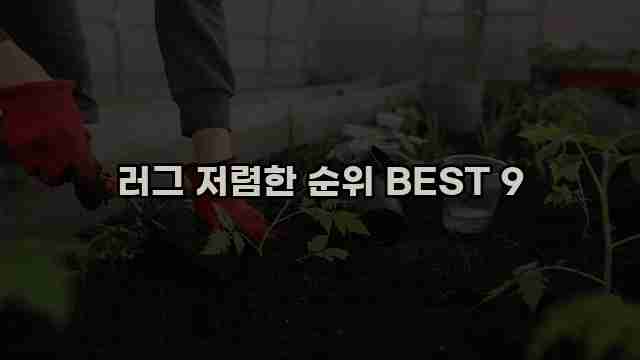 러그 저렴한 순위 BEST 9