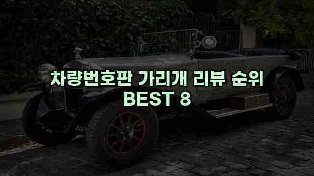 차량번호판 가리개 리뷰 순위 BEST 8