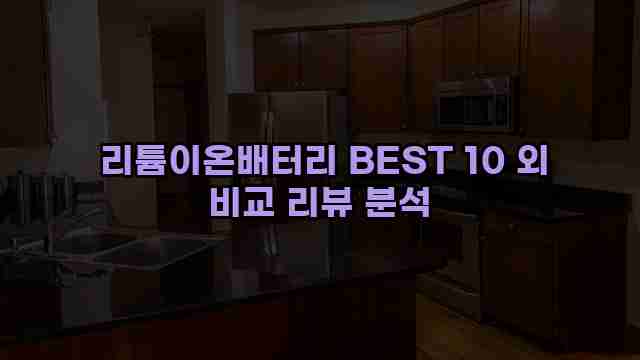  리튬이온배터리 BEST 10 외 비교 리뷰 분석