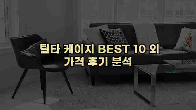  틸타 케이지 BEST 10 외 가격 후기 분석