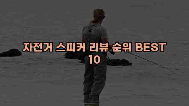 자전거 스피커 리뷰 순위 BEST 10