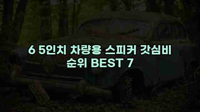 6 5인치 차량용 스피커 갓심비 순위 BEST 7