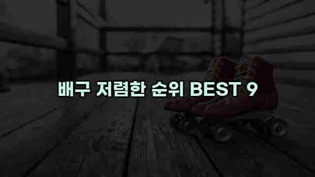 배구 저렴한 순위 BEST 9