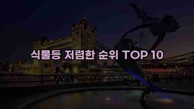 식물등 저렴한 순위 TOP 10