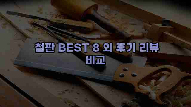  철판 BEST 8 외 후기 리뷰 비교