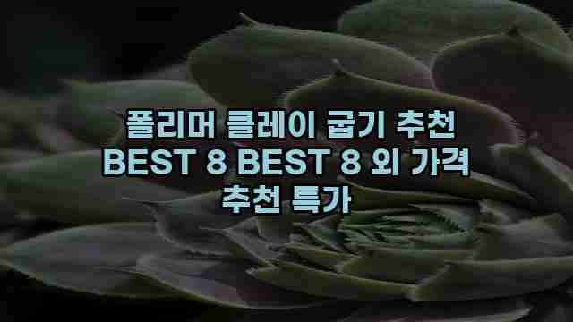  폴리머 클레이 굽기 추천 BEST 8 BEST 8 외 가격 추천 특가