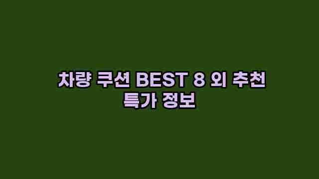  차량 쿠션 BEST 8 외 추천 특가 정보