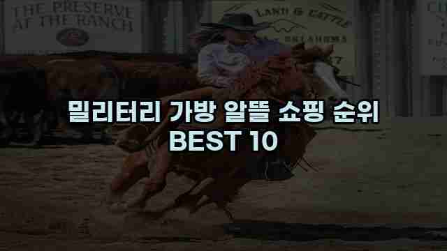 밀리터리 가방 알뜰 쇼핑 순위 BEST 10