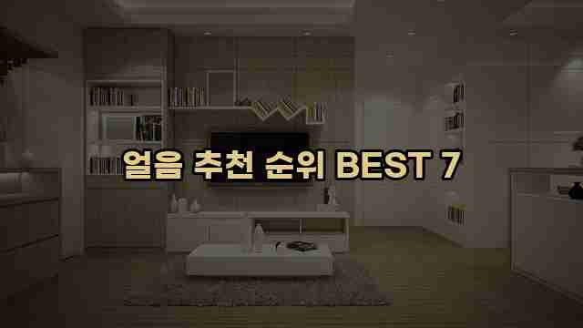 얼음 추천 순위 BEST 7