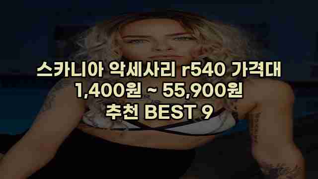 스카니아 악세사리 r540 가격대 1,400원 ~ 55,900원 추천 BEST 9