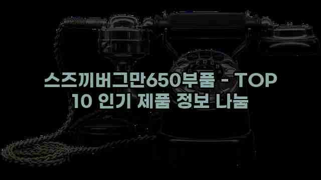 스즈끼버그만650부품 - TOP 10 인기 제품 정보 나눔