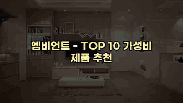 엠비언트 - TOP 10 가성비 제품 추천