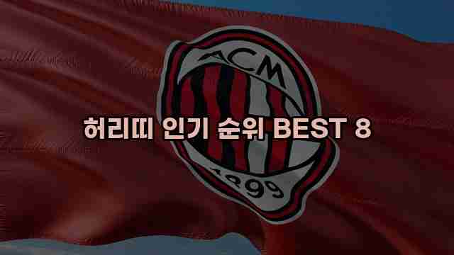 허리띠 인기 순위 BEST 8