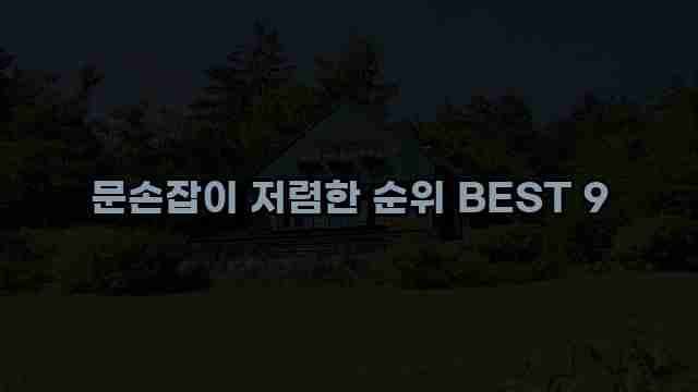 문손잡이 저렴한 순위 BEST 9