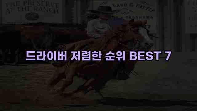 드라이버 저렴한 순위 BEST 7