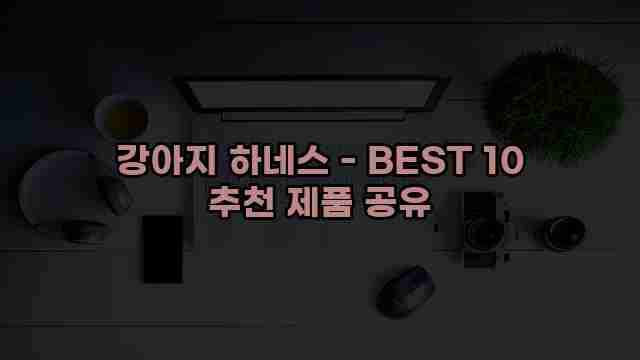 강아지 하네스 - BEST 10 추천 제품 공유