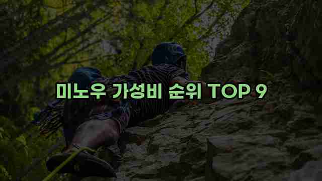 미노우 가성비 순위 TOP 9