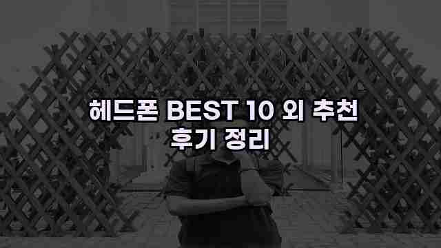  헤드폰 BEST 10 외 추천 후기 정리