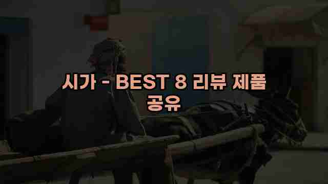 시가 - BEST 8 리뷰 제품 공유