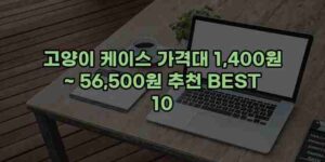 우니재의 알리알리 알리숑 - 30154 - 2024년 11월 24일 13