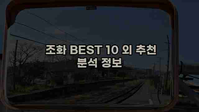  조화 BEST 10 외 추천 분석 정보