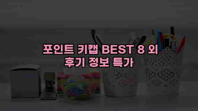  포인트 키캡 BEST 8 외 후기 정보 특가