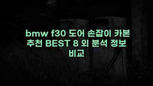  bmw f30 도어 손잡이 카본 추천 BEST 8 외 분석 정보 비교