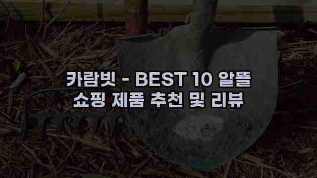 카람빗 - BEST 10 알뜰 쇼핑 제품 추천 및 리뷰