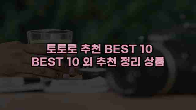  토토로 추천 BEST 10 BEST 10 외 추천 정리 상품