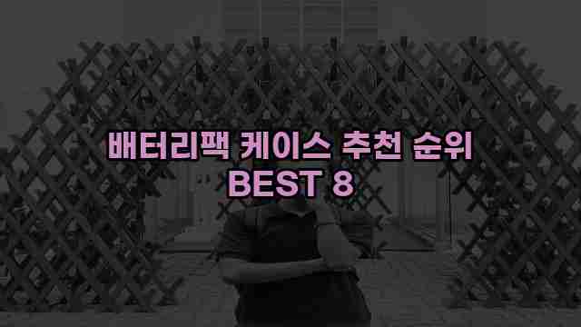 배터리팩 케이스 추천 순위 BEST 8