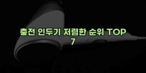 우니재의 알리알리 알리숑 - 12917 - 2024년 11월 27일 25