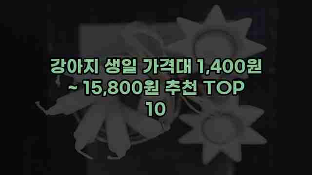 강아지 생일 가격대 1,400원 ~ 15,800원 추천 TOP 10